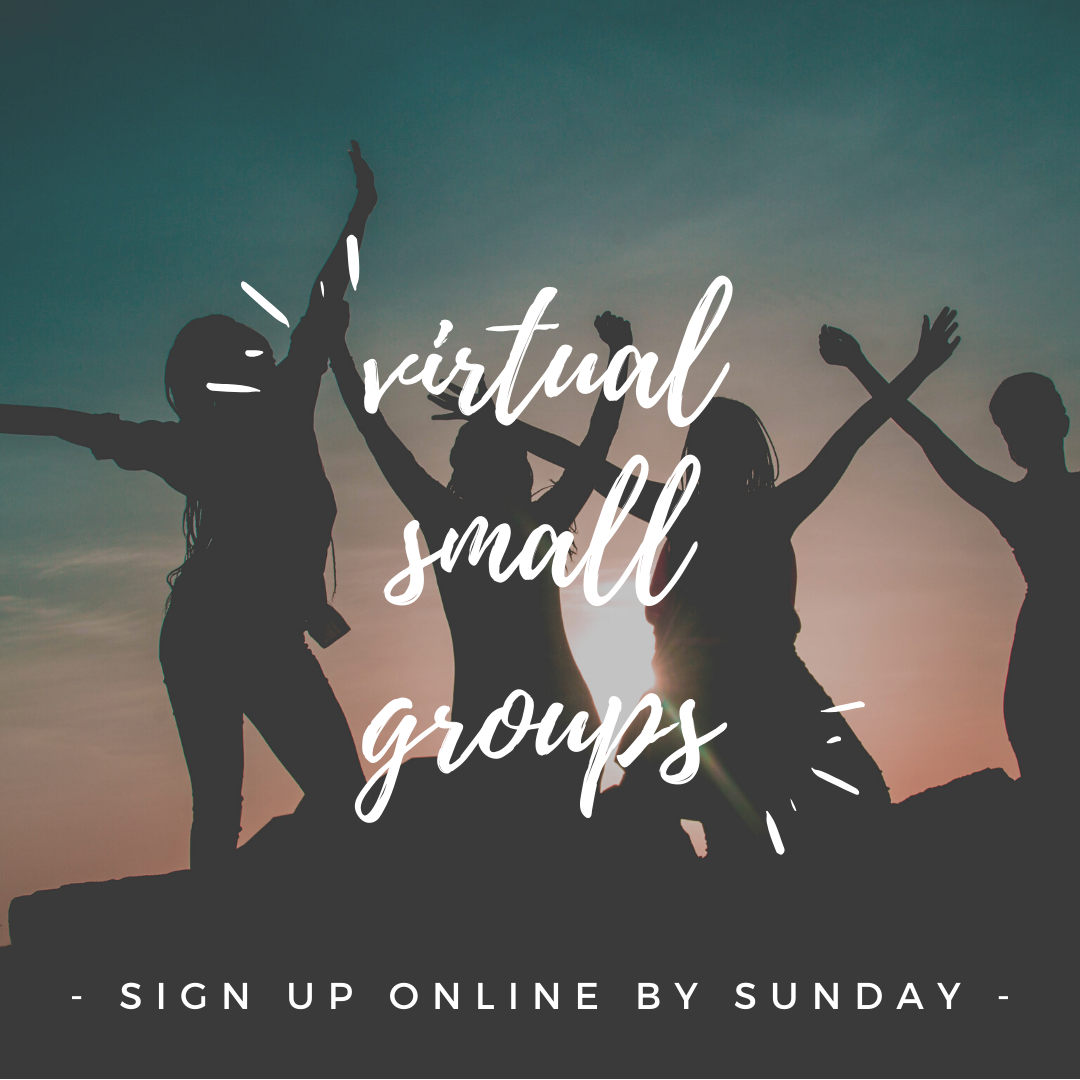 virtual small groups